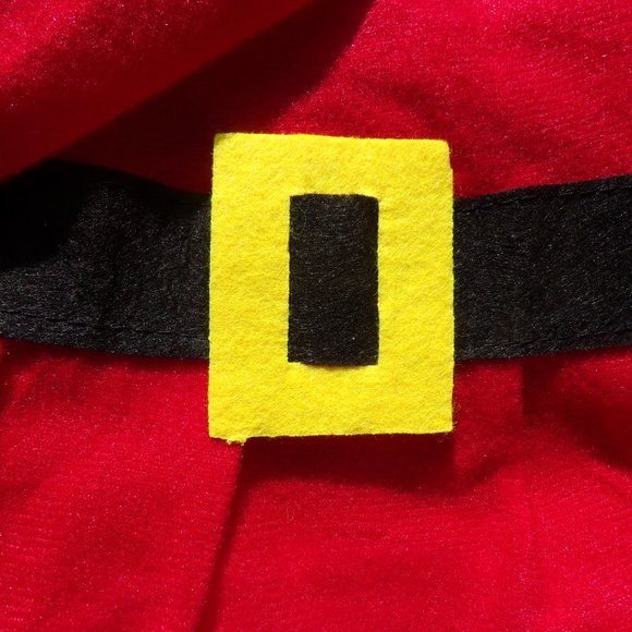 🎀Christmas Santa Pet Costume🎄 - Picture 5 of 7